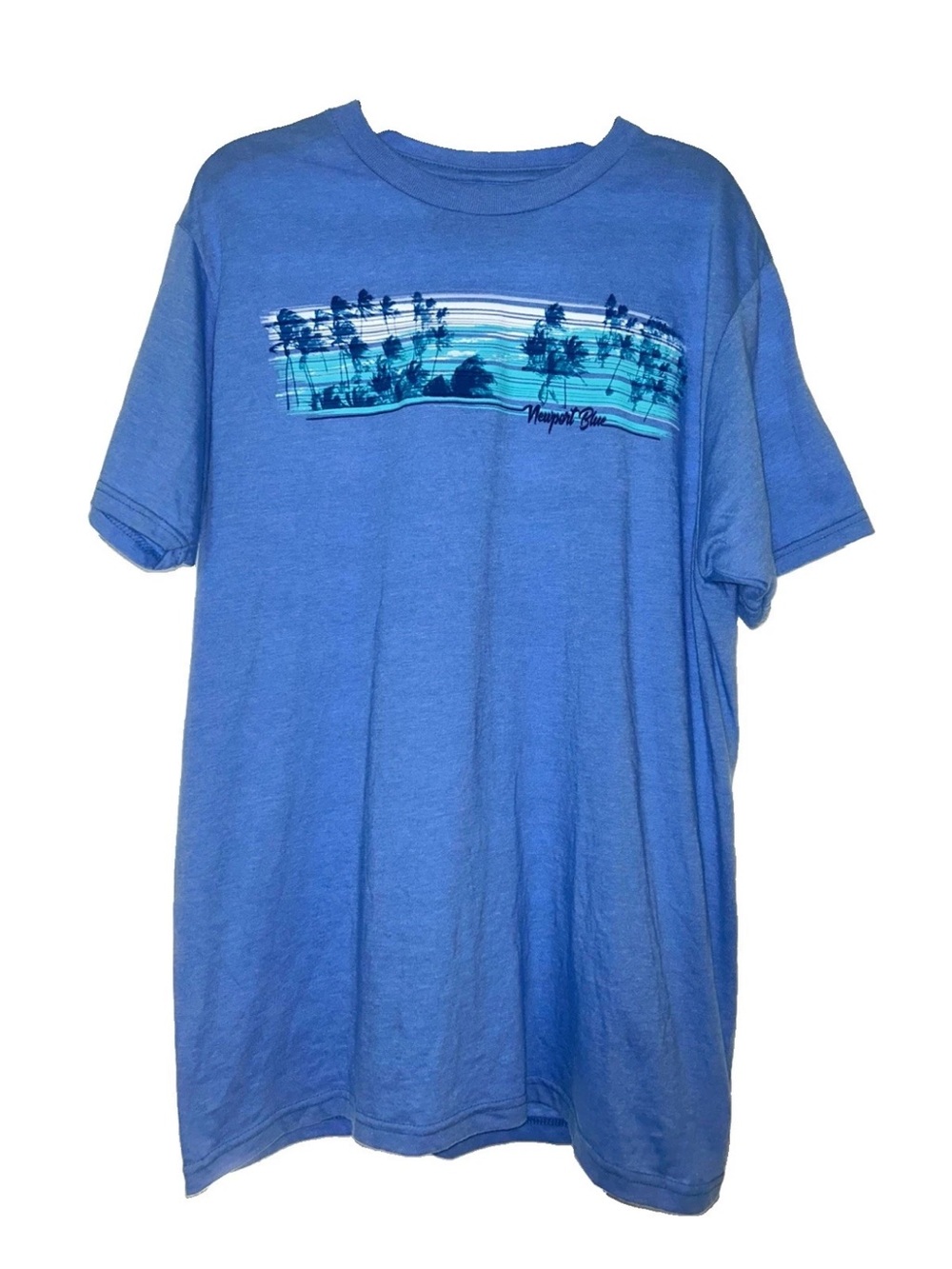 Newport Blue Men’s Palm Landscape Short Sleeve Graphic Tee - Check Measurements